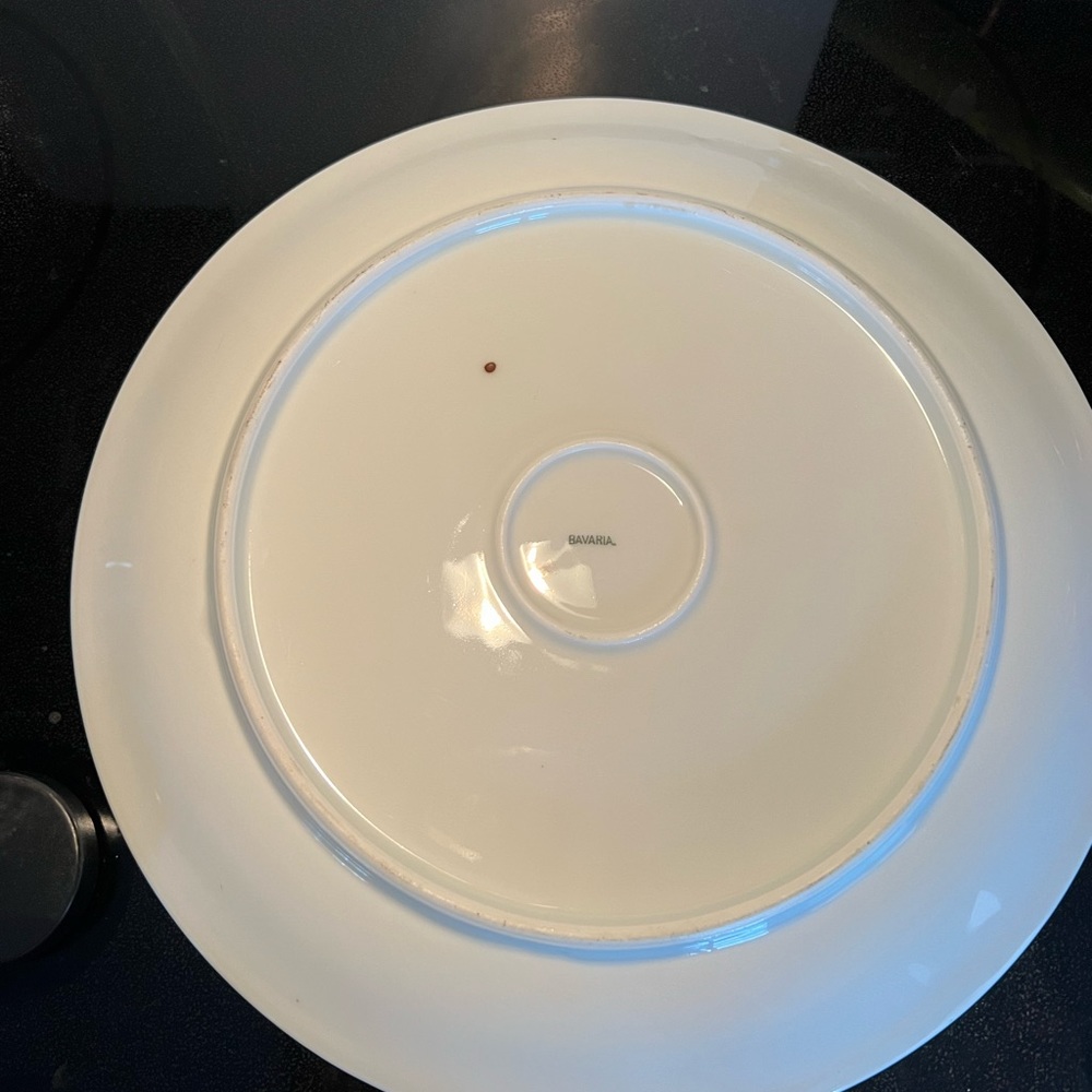 Bavaria red floral mums. Hand painted 12 inch platter. - Picture 4 of 4